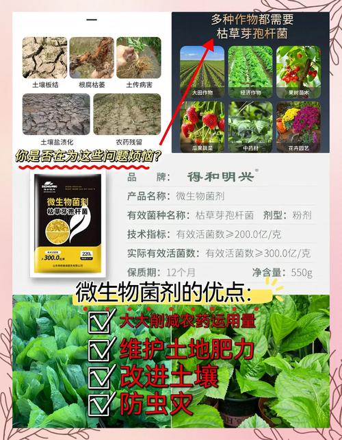 生物土壤补硒（微生物生物制品在农业中的应用）-硒宝网