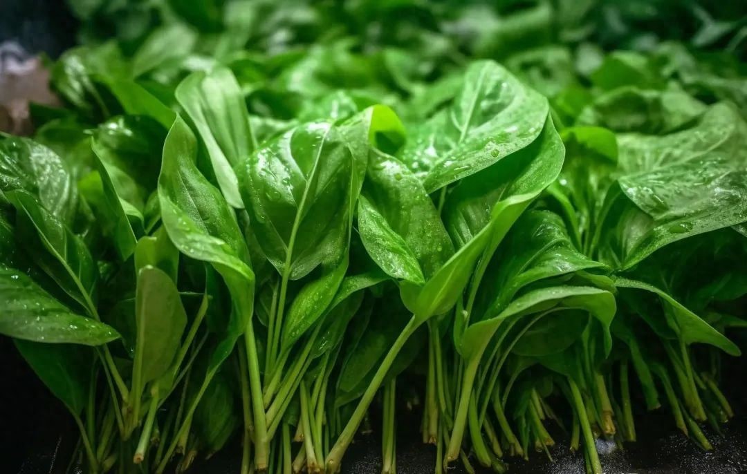 哪些杏仁补硒（营养素抗抑郁）-硒宝网