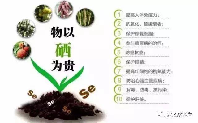 中央全民补硒()-硒宝网