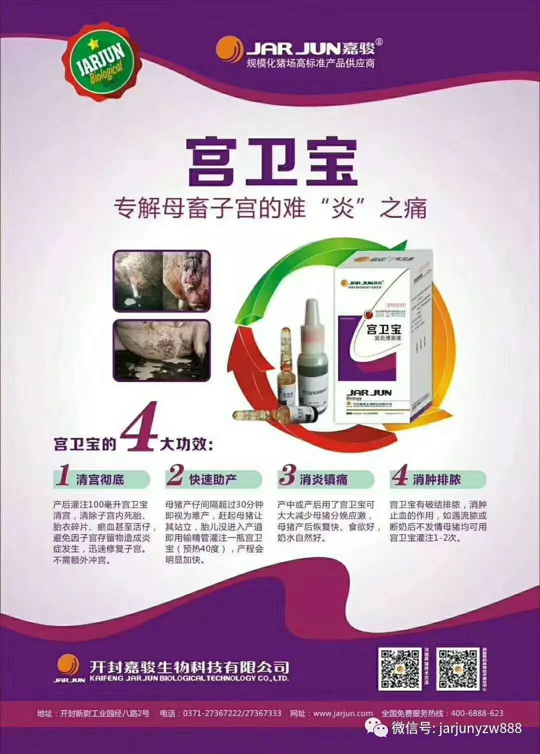 妊娠母猪补硒（弱仔对养猪业危害）-硒宝网