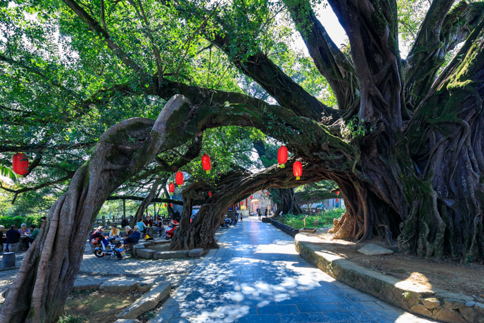 桂林是否补硒(桂林交通指南)-硒宝网