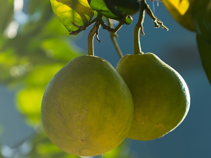 桂林是否补硒(桂林交通指南)-硒宝网