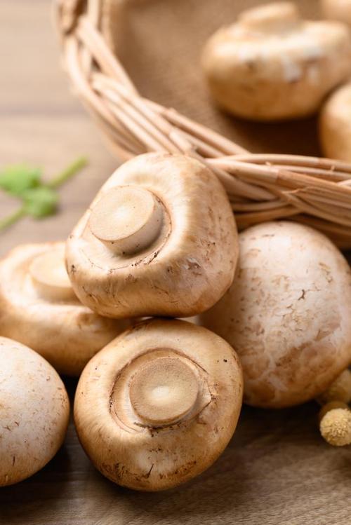 肺癌大量补硒（补硒食物推荐）-硒宝网