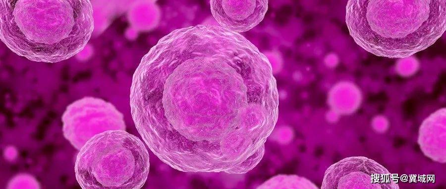 补硒200问(硒与免疫力)-硒宝网