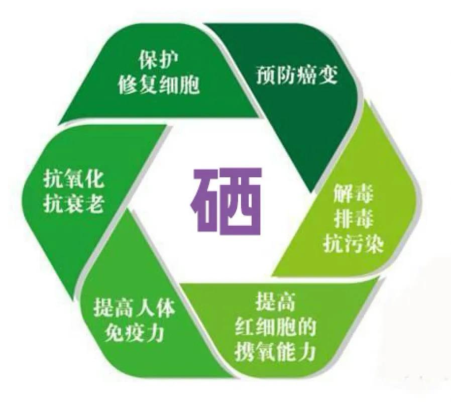 科学补硒工程(硒从毒物到必需的认知转变)-硒宝网