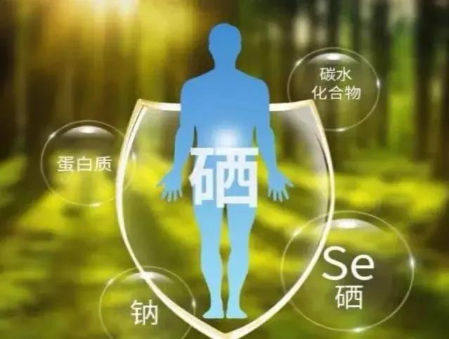 科学补硒工程(硒从毒物到必需的认知转变)-硒宝网