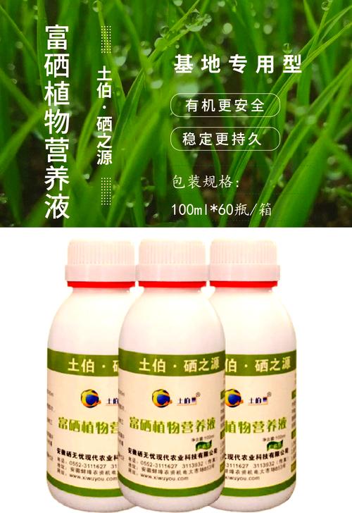 男性硒怎么补(硒无忧富硒肥厂家讲解富硒番茄种植技术)-硒宝网