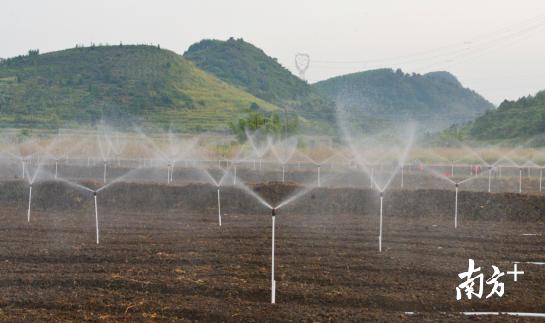 受到辐射补硒(连州富硒产业发展规划)-硒宝网