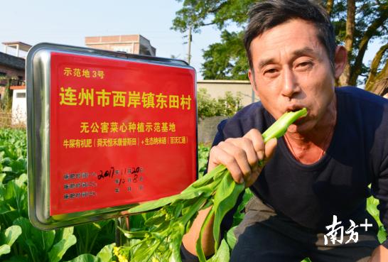 受到辐射补硒(连州富硒产业发展规划)-硒宝网