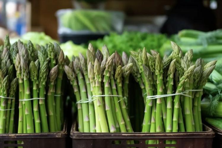 老人如何补硒(芦笋硒含量)-硒宝网