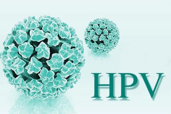 tpo高补硒(硒元素对HPV和甲状腺的影响)-硒宝网