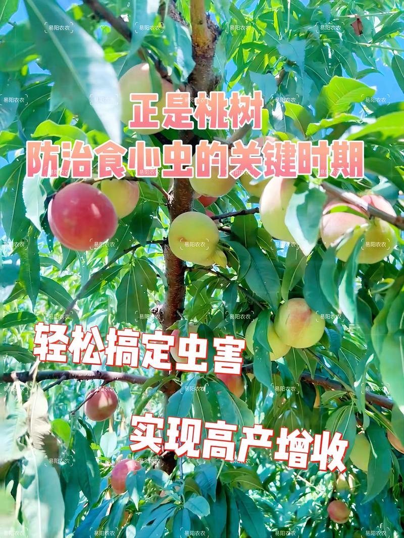 桃树怎样补硒(硒对桃树生长的影响)-硒宝网