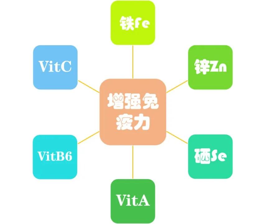 补硒食物少年（增强免疫力食物）-硒宝网