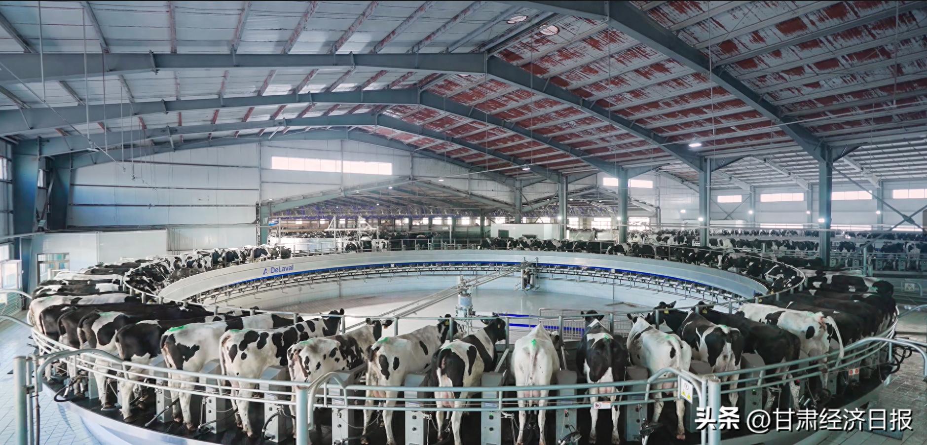 补硒食物少年(庄园牧场富硒牛奶)-硒宝网