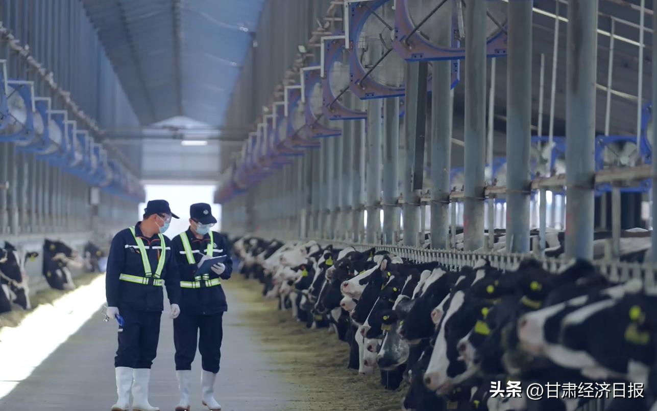 补硒食物少年(庄园牧场富硒牛奶)-硒宝网