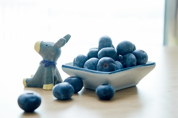 日本补硒视频(肝脏解毒食物)-硒宝网