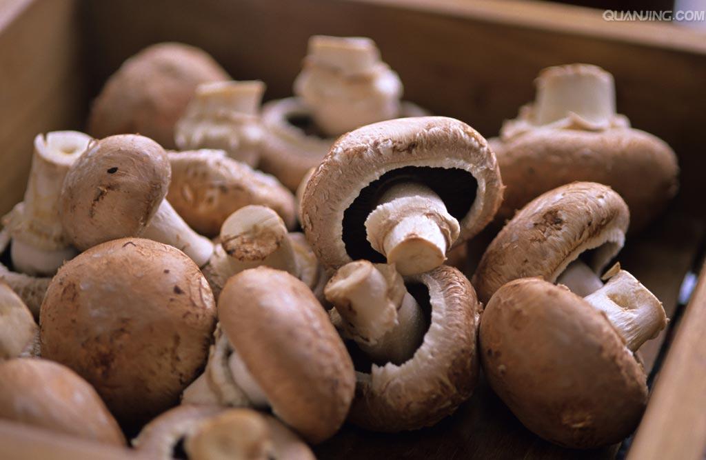 补硒食物少年（富含硒的天然食物推荐）-硒宝网