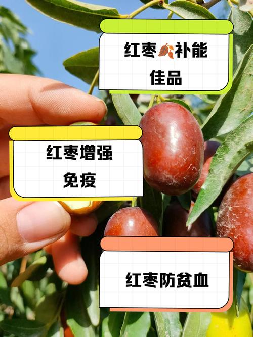 儿童补充补硒（富硒枣硒含量标准）-硒宝网