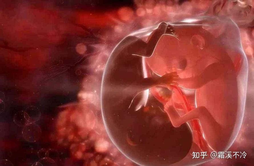 孕期补硒方案（DHA对胎儿发育的重要性）-硒宝网