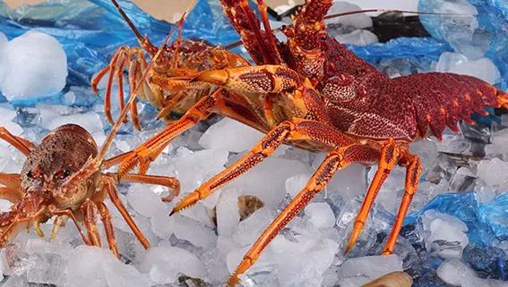 女人补硒产品(富硒大米功效)-硒宝网