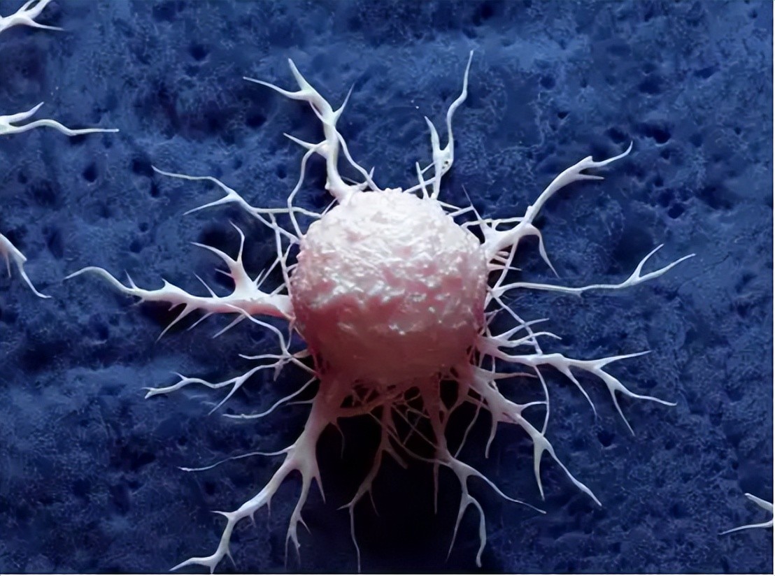 孕期补硒好处（）-硒宝网