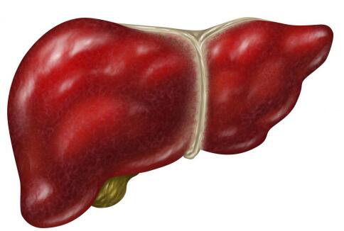 补硒治疗乙肝(预防肝炎传染)-硒宝网