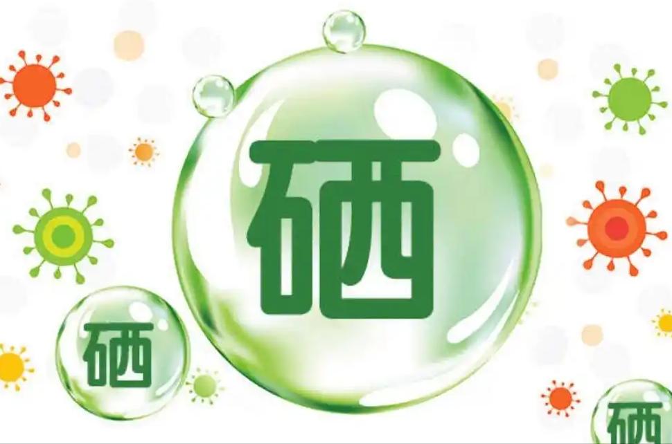 天然补硒植物（洋葱硒含量高）-硒宝网