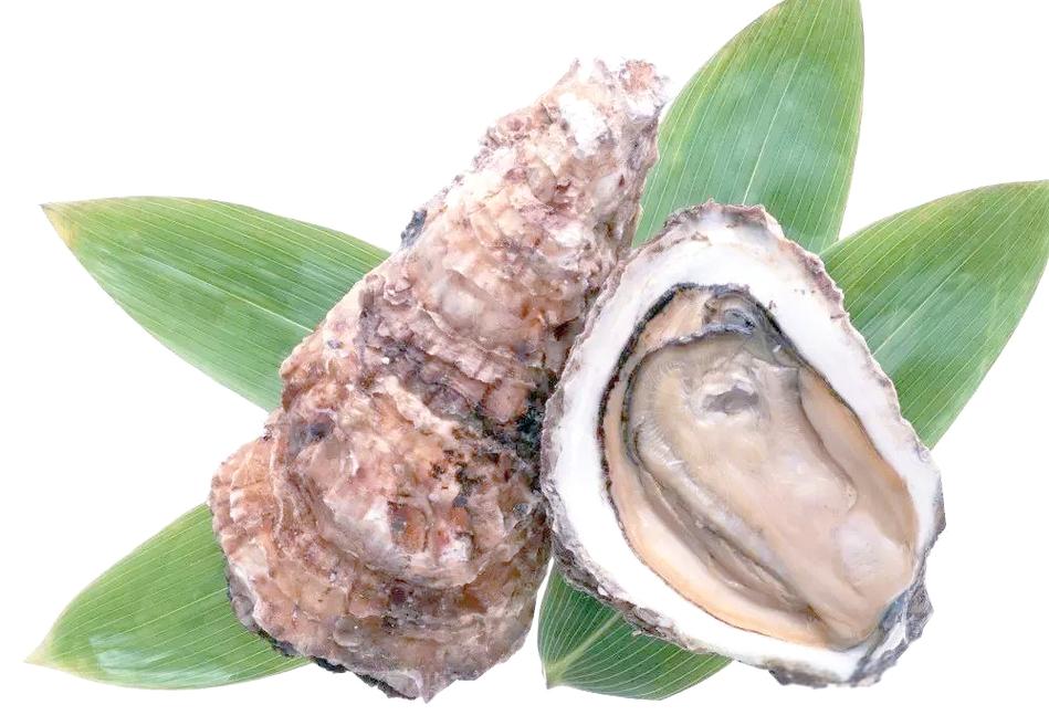 女性补硒食物（）-硒宝网