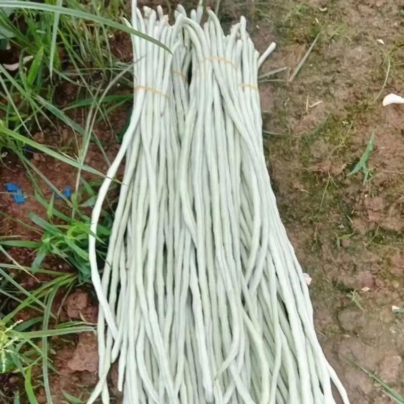 女性补硒食物（）-硒宝网