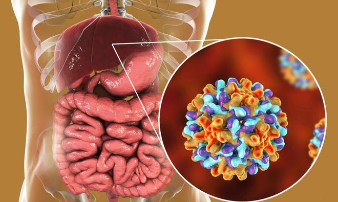 乙肝补硒食谱（养肝食物推荐）-硒宝网