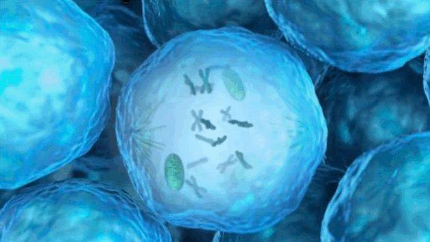 补硒能够预防(补硒提高免疫力)-硒宝网