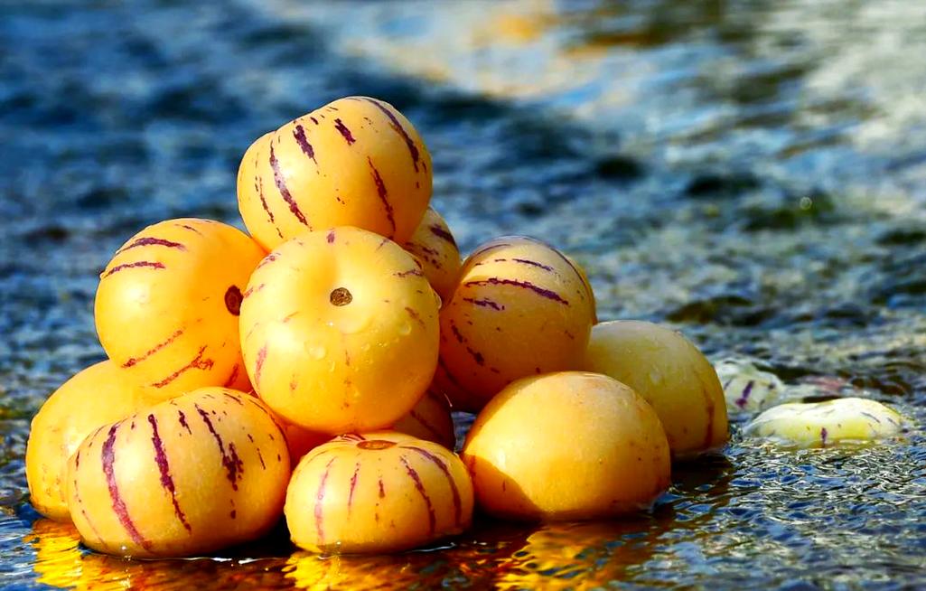 补硒可以健脾（富含硒的水果推荐）-硒宝网