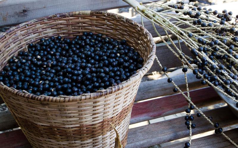 补硒可以健脾（富含硒的水果推荐）-硒宝网