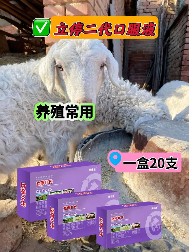 羔羊几天补硒（哺乳母羊产羔消毒用具）-硒宝网