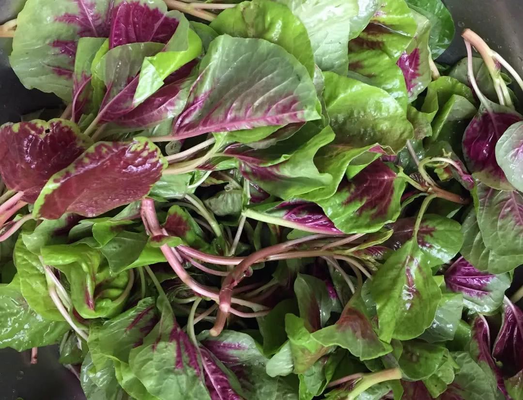 夏季补硒食谱(补钾时令蔬菜)-硒宝网