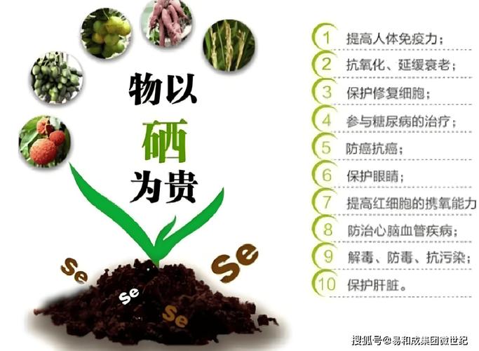 男人补硒好吗（补硒改善男性勃起功能障碍）-硒宝网