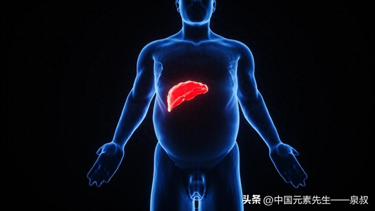 补锌补硒食品(锌硒与脂肪肝关系)-硒宝网