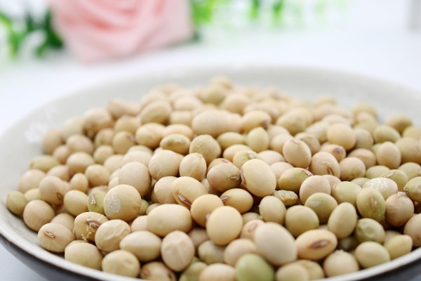 补锌补硒食品（富含锌的食物推荐）-硒宝网