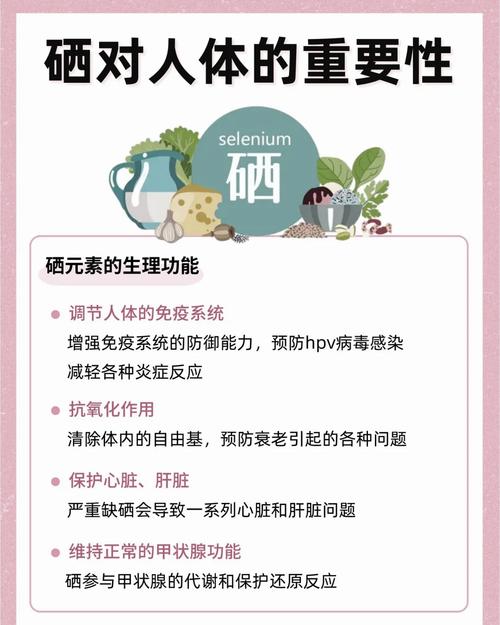补硒提升活力（科学补硒方法）-硒宝网