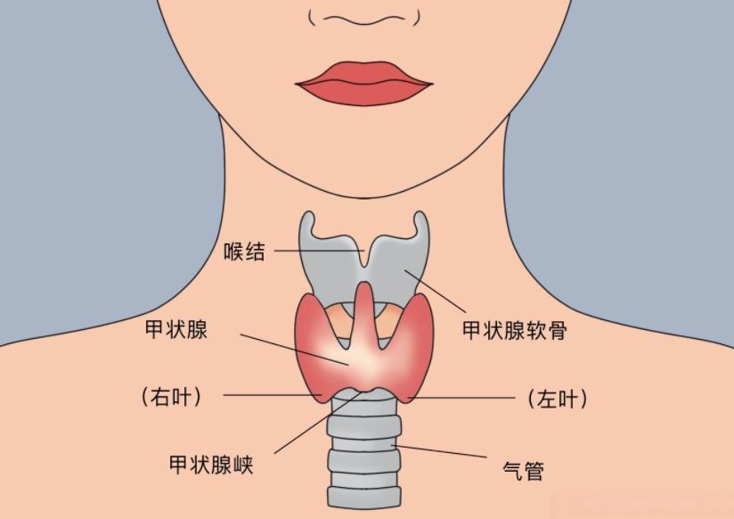 补硒最多蔬菜(花生补硒效果)-硒宝网