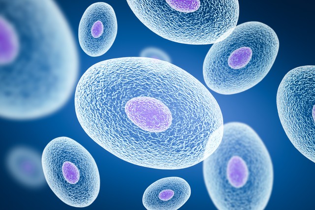 硒什么怎么补（硒缺乏与癌症风险）-硒宝网