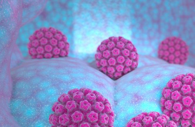 补硒会肾结晶（补硒注意事项）-硒宝网