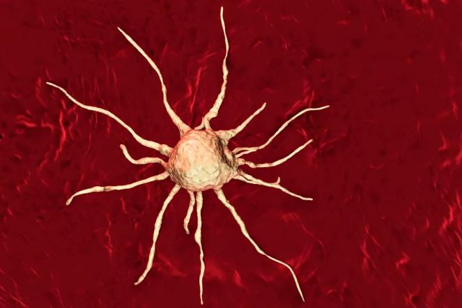 补硒会肾结晶（补硒注意事项）-硒宝网