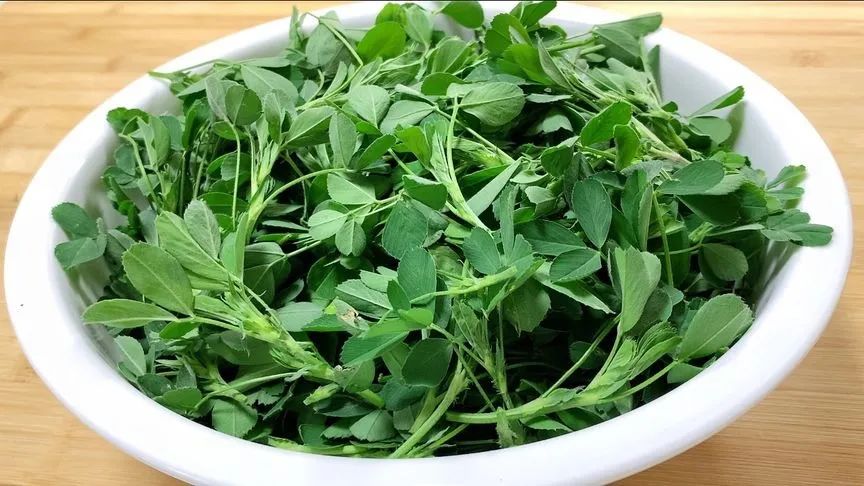 鹅肝可以补硒(凉拌苜蓿做法)-硒宝网