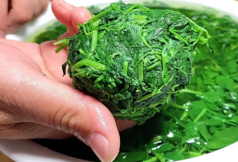 鹅肝可以补硒(凉拌苜蓿做法)-硒宝网