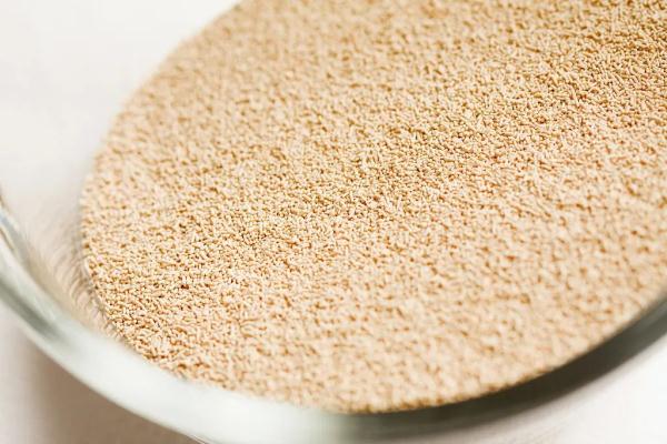 硒酵母补肺吗(酵母面食健康吗)-硒宝网