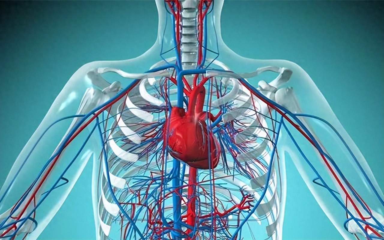 硒需每天补吗(硒缺乏对血管的影响)-硒宝网