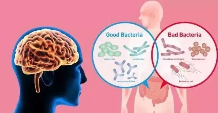 硒需每天补吗(硒缺乏对血管的影响)-硒宝网