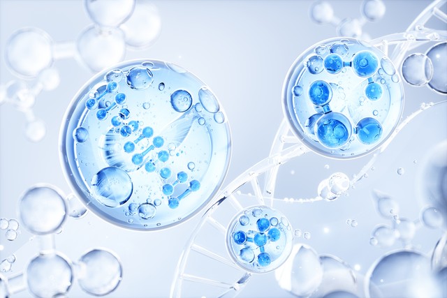 硒补多的坏处（硒与人体健康关系）-硒宝网