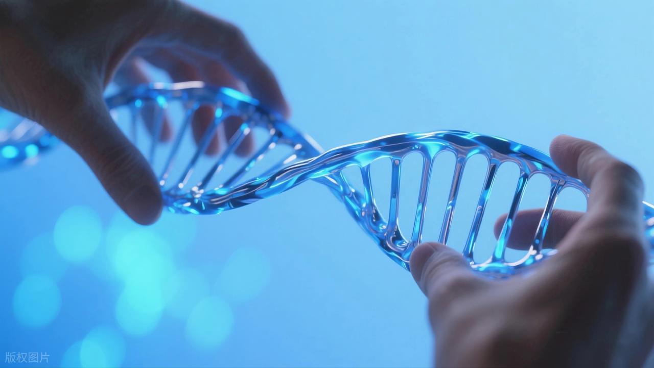 硒补多的坏处（硒与人体健康关系）-硒宝网